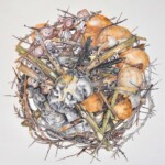 Dornen 35x35cm, Zeichnung