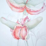Offene Lippen 100x70cm, Farbstiftzeichnung