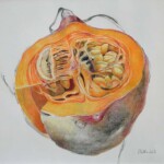 Offener Hokaido 60x60cm, Farbstiftzeichnung