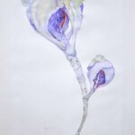 Balance 120x62cm, Zeichnung