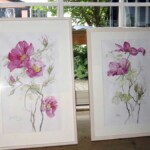Strandrosen 80x60cm und 70x50cm, Farbstiftzeichnung